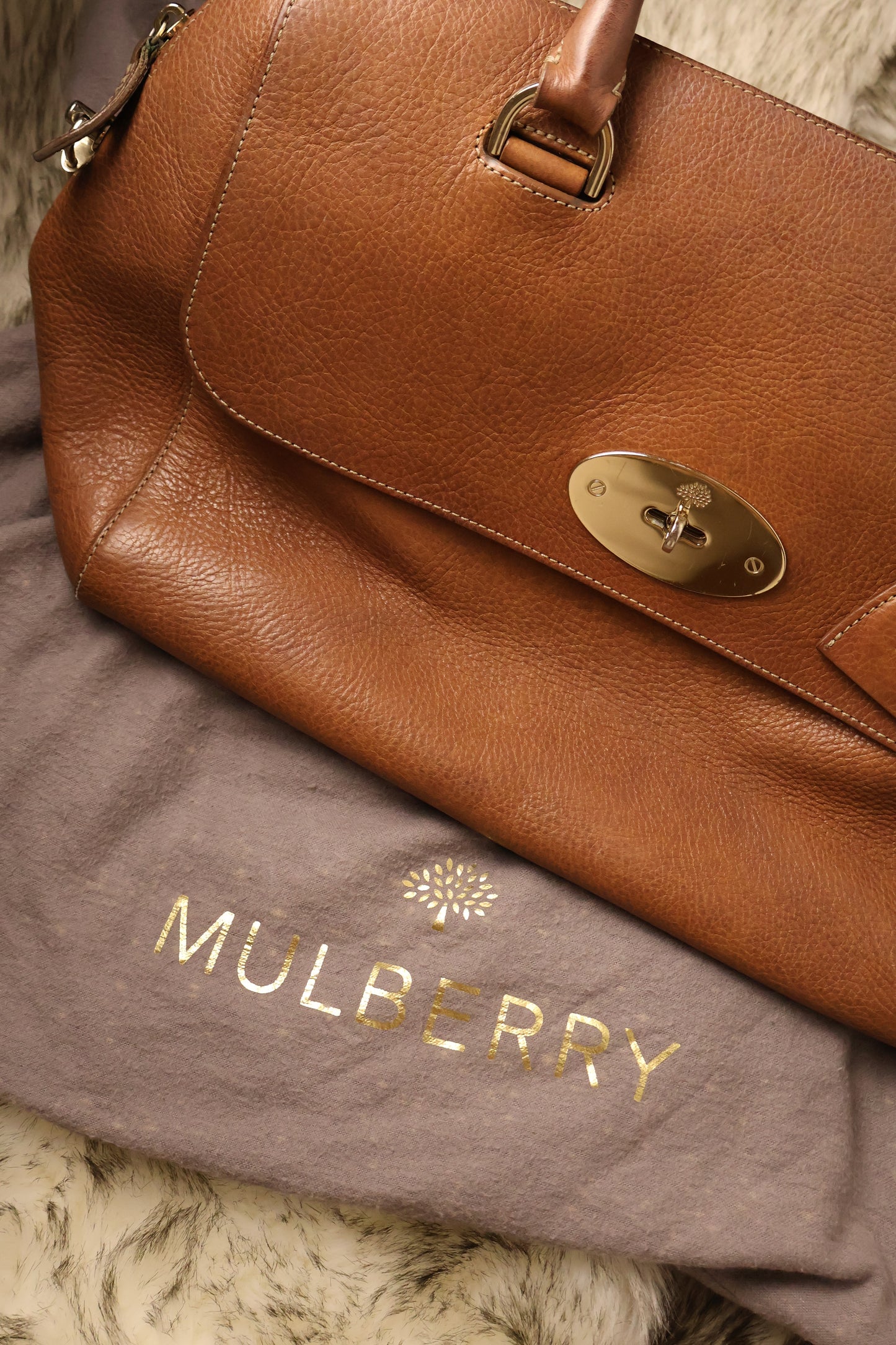 Mulberry Del Rey Bag