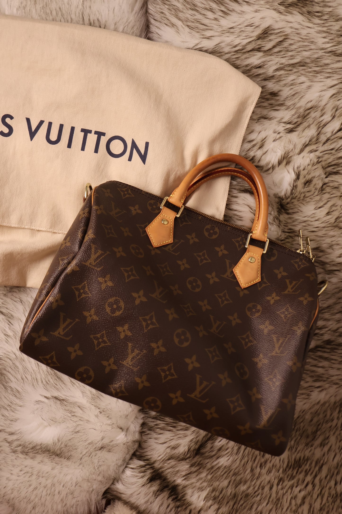 Louis Vuitton Speedy 30 Bandoulière