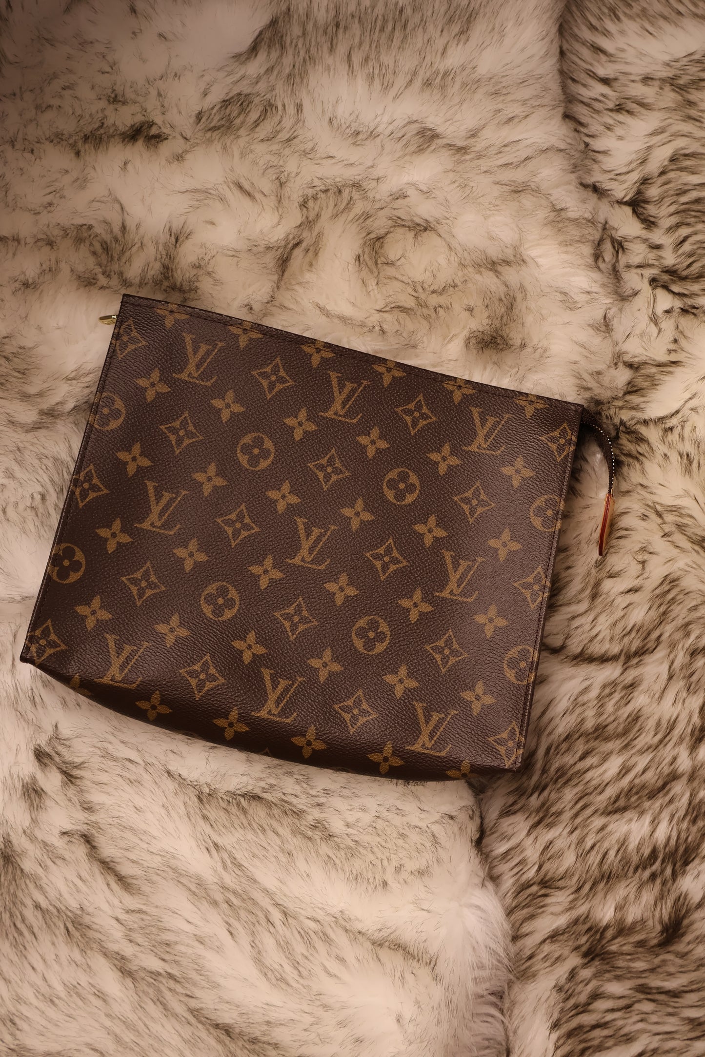 Louis Vuitton Poche Toilette