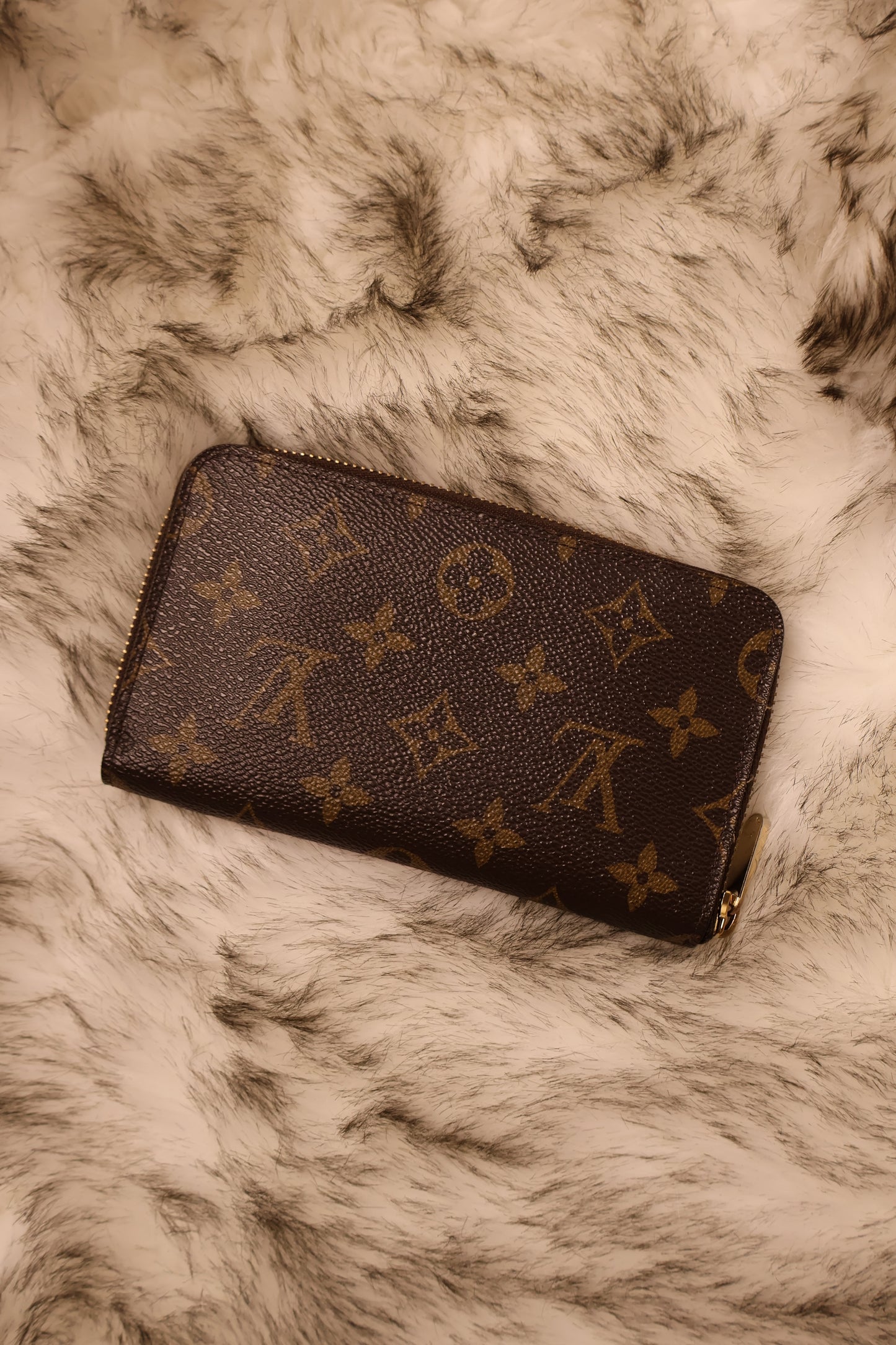 Carteira Zippy da Louis Vuitton