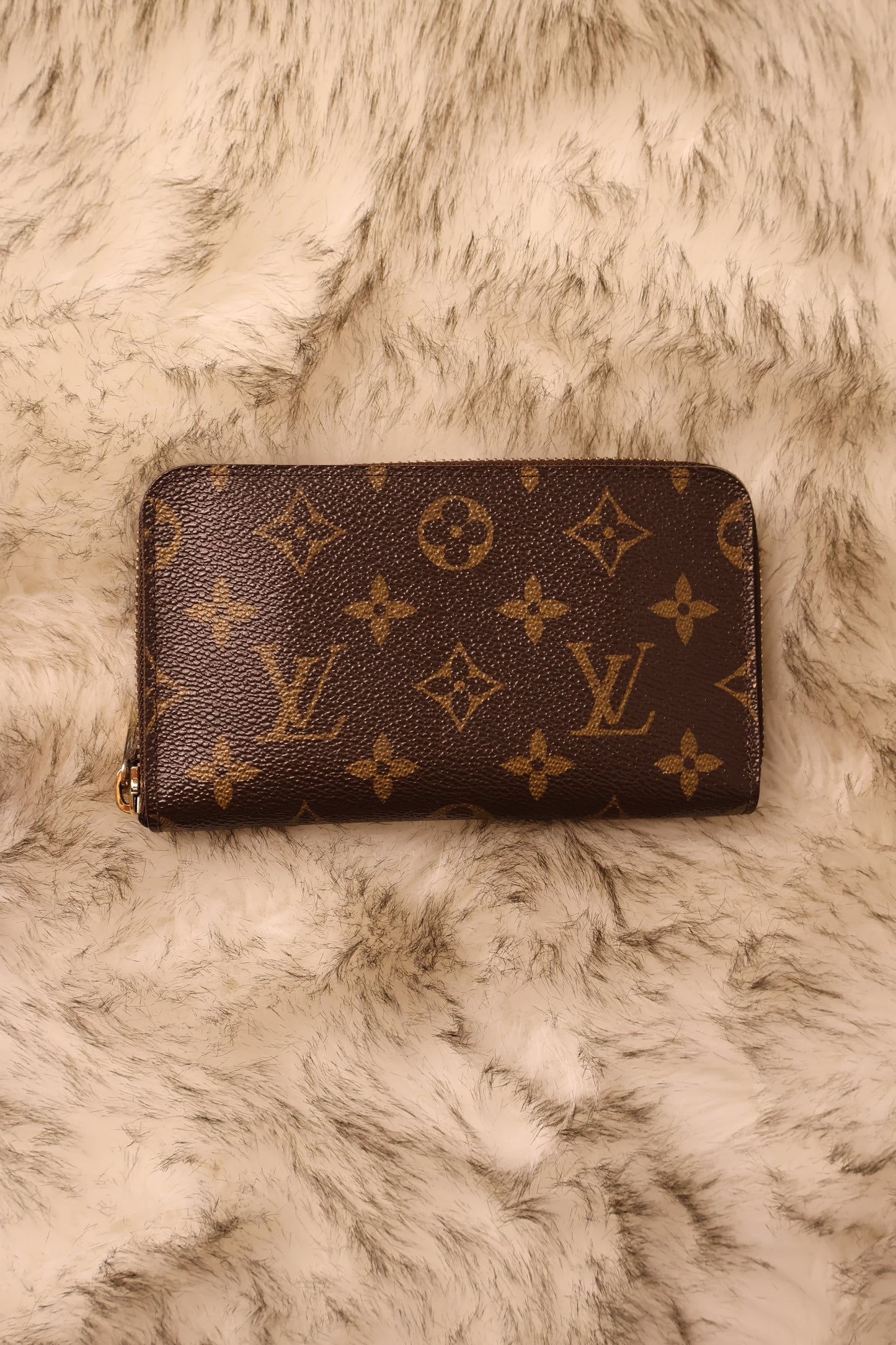 Louis Vuitton Zippy Wallet