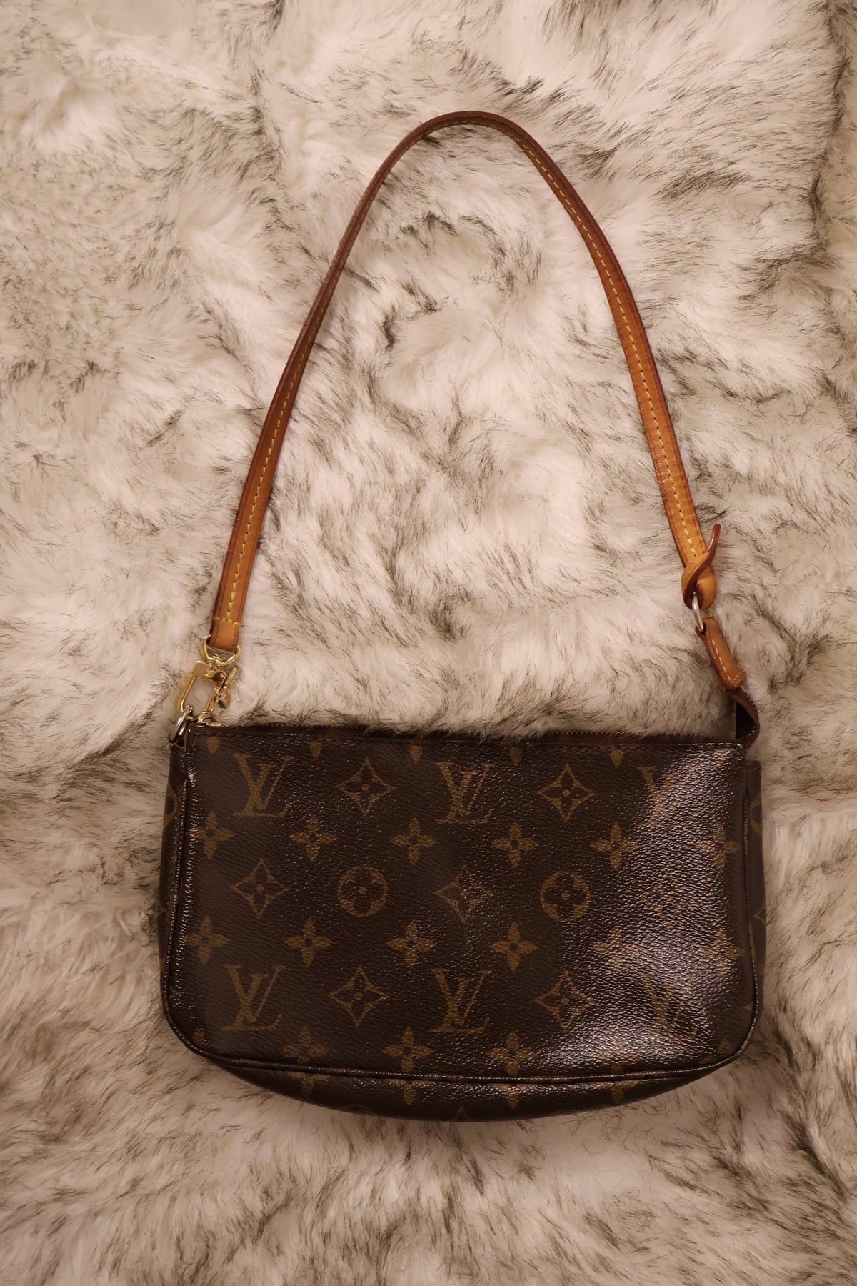 Louis Vuitton Pochette Accessoires