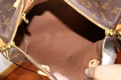 Louis vuitton Speedy 30 Bandoulière