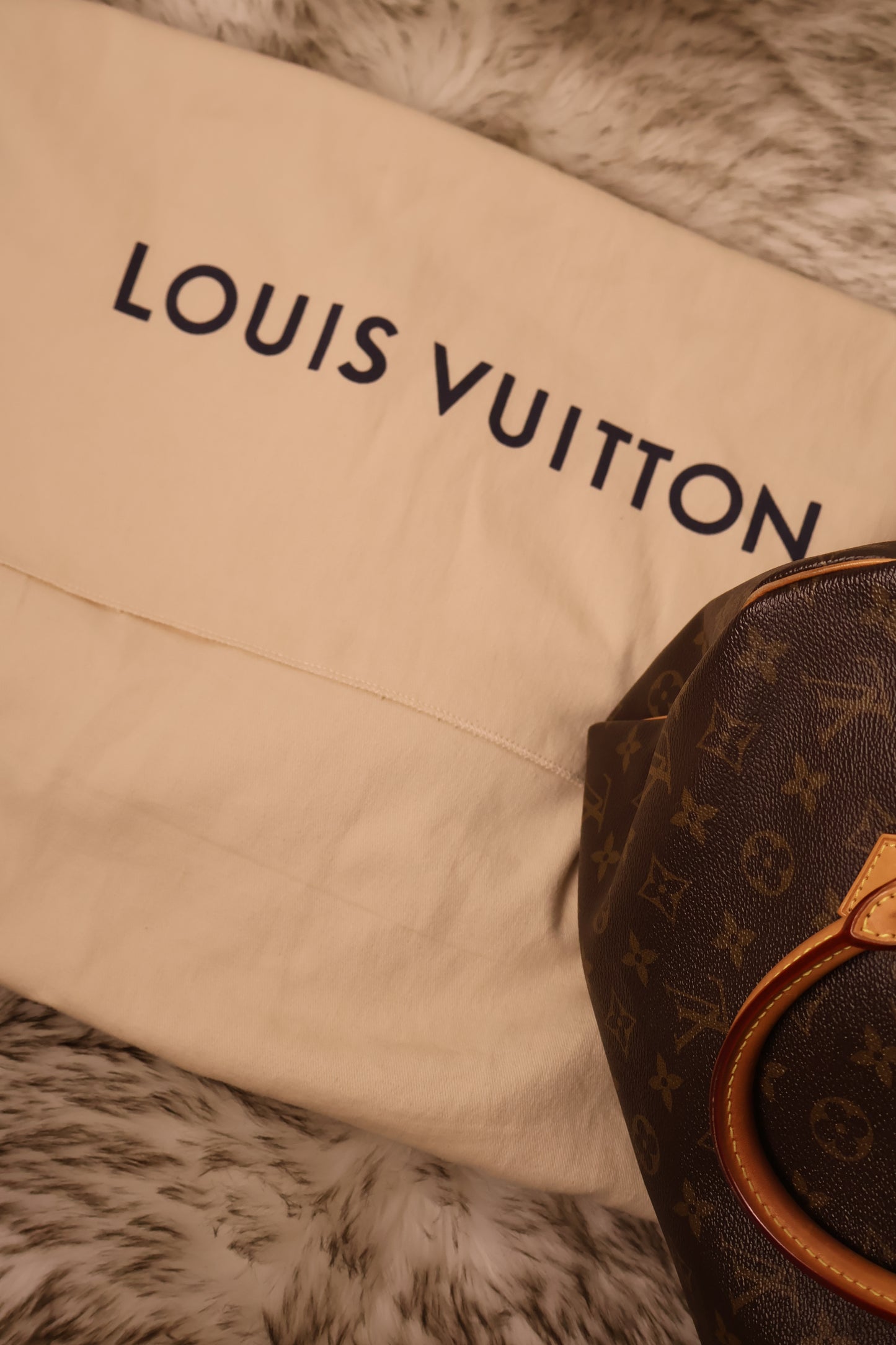 Louis vuitton Speedy 30