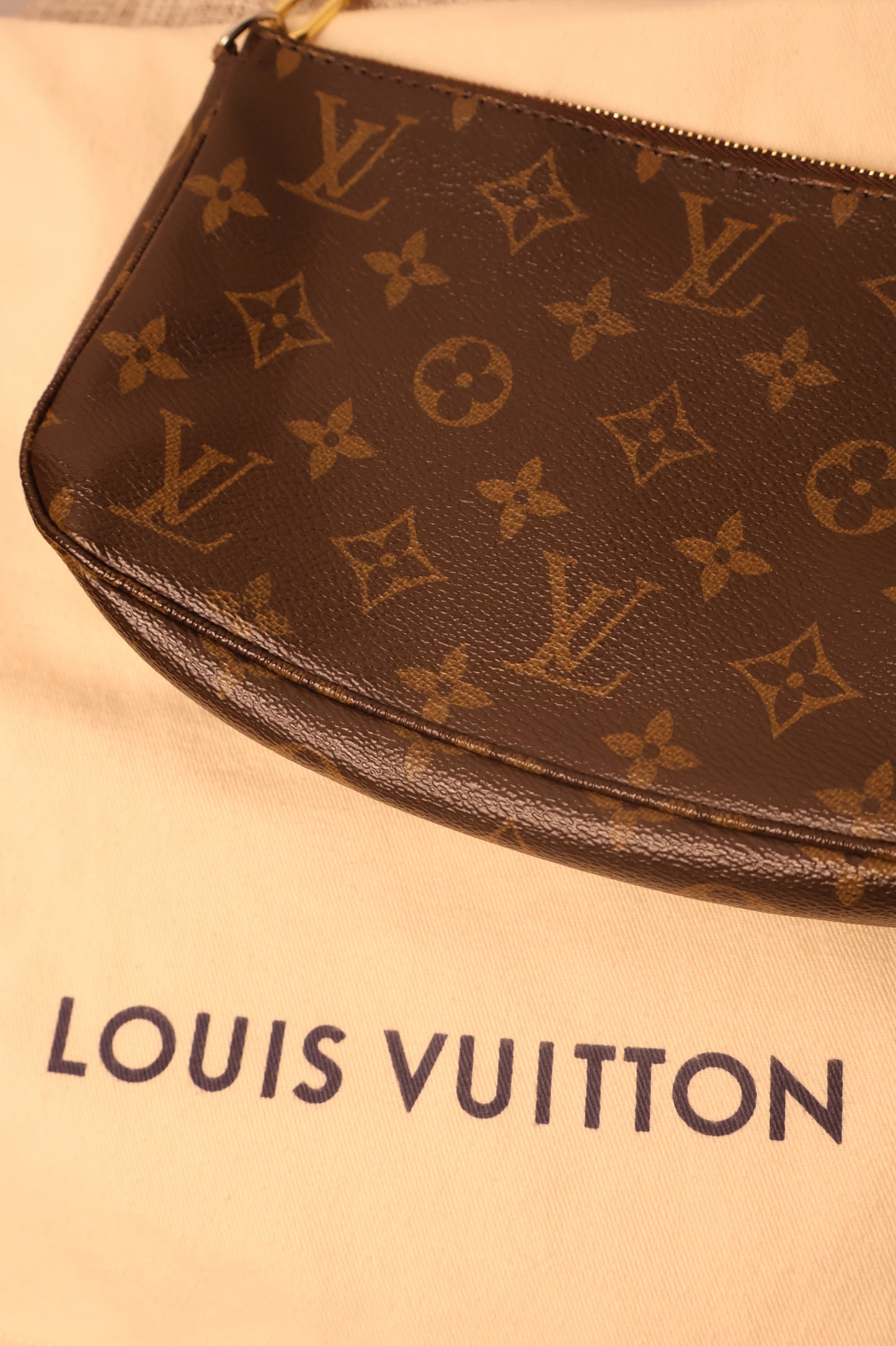 Louis Vuitton Pochette Accessoires