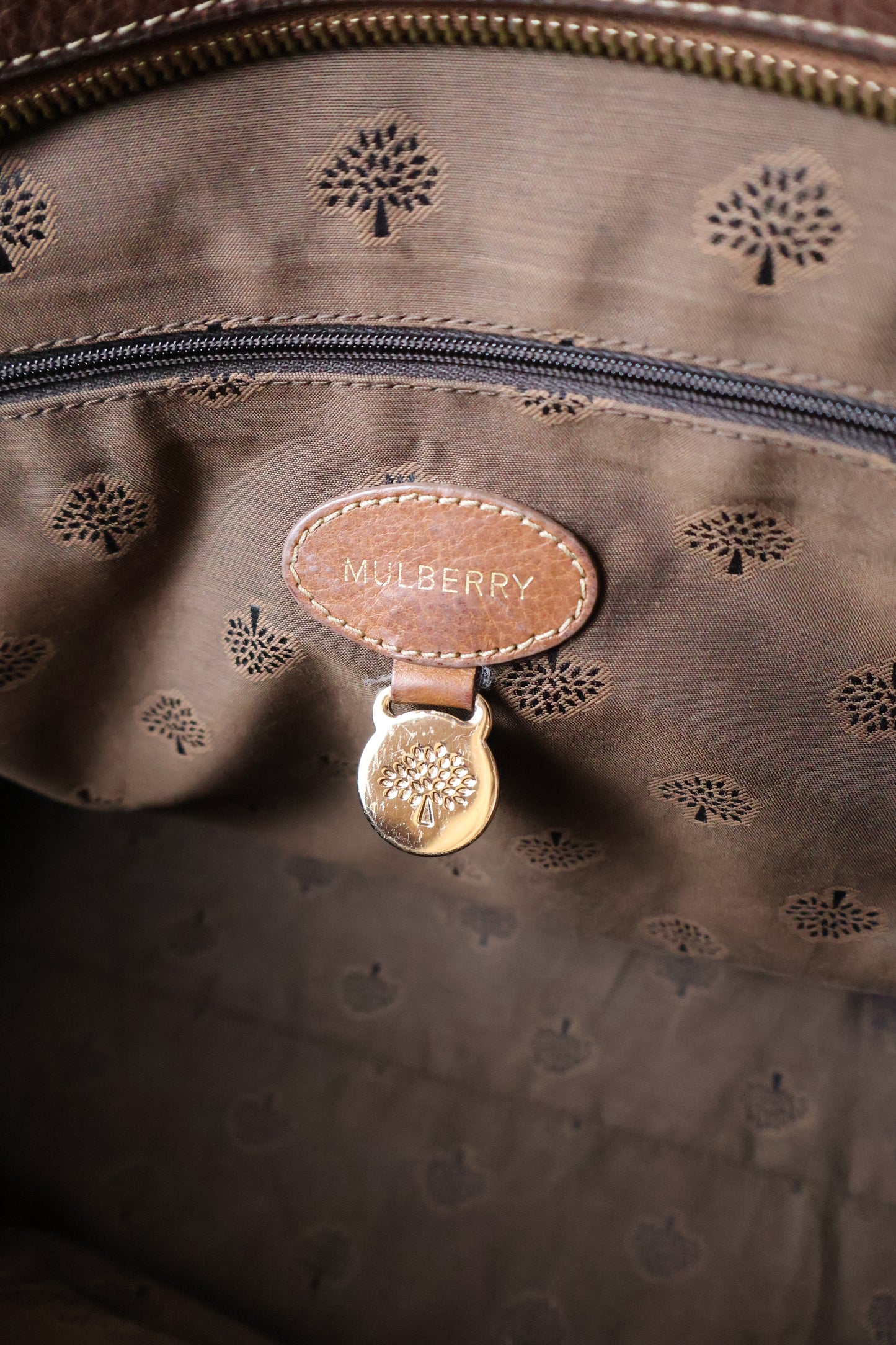 Mulberry Del Rey Bag