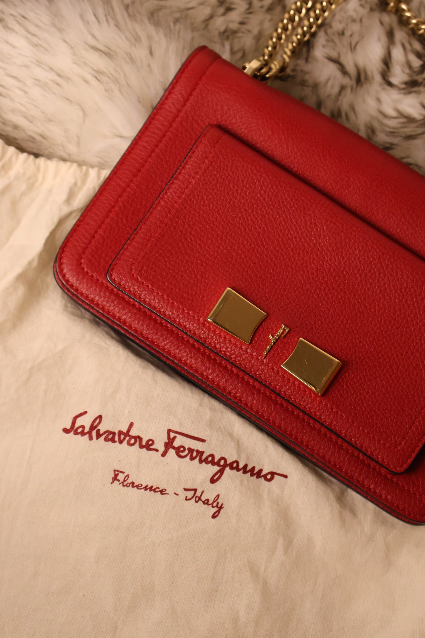 Salvatore Ferragamo Red Shoulder Bag