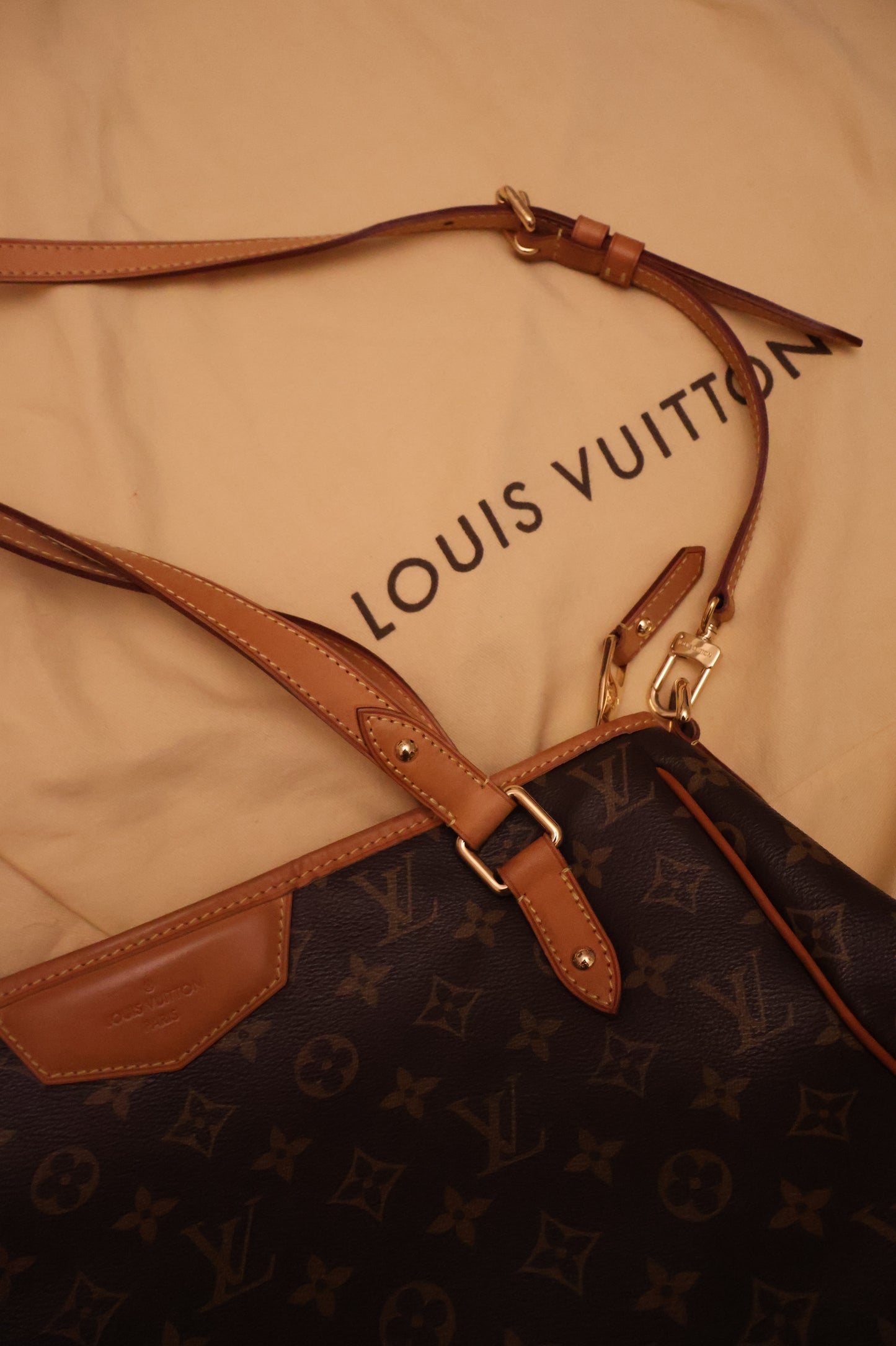 Louis Vuitton Monogram Estrela MM Satchel