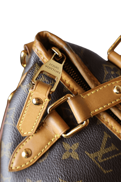Mala Louis Vuitton Estrela MM