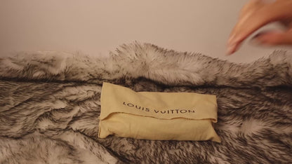 Louis Vuitton Pochette Accessoires