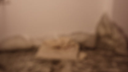 Salvatore Ferragamo Gancini Leather Clutch and Shoulder Bag