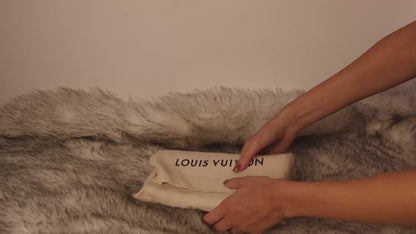 Louis Vuitton Pochette Félicie