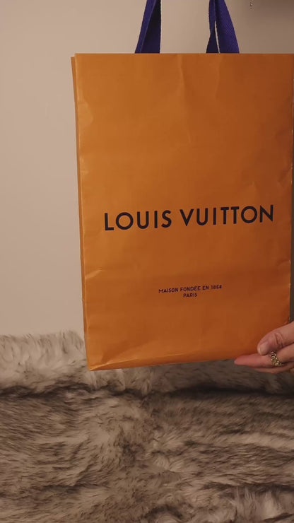 Louis Vuitton Pochette Félicie Damier Azur Canvas