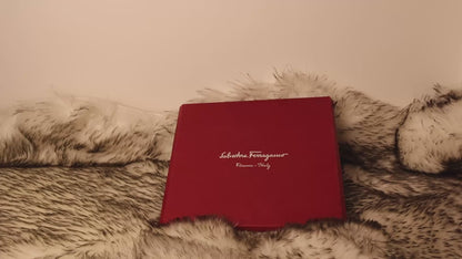 Salvatore Ferragamo Scarf