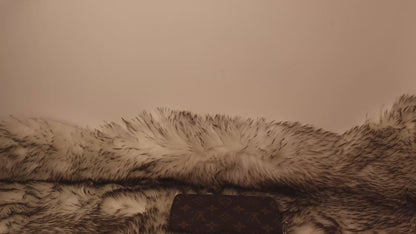 Carteira Zippy da Louis Vuitton